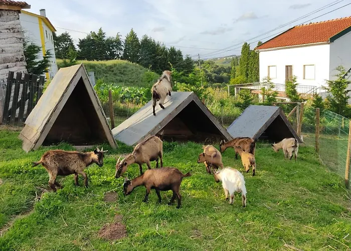 Casa Gil, Quinta Carmo - Alcobaça/ Nazaré *